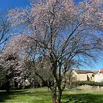 Degli Aceri 3* Carcare
