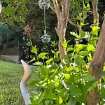 Degli Aceri Bed & Breakfast 3*