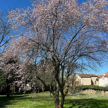 Degli Aceri 3* Carcare