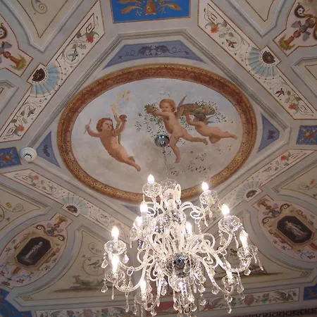 Degli Aceri