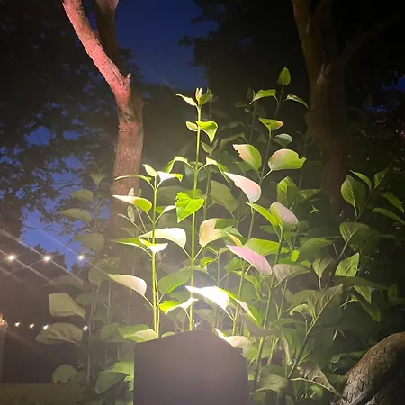 Degli Aceri Panzió Carcare