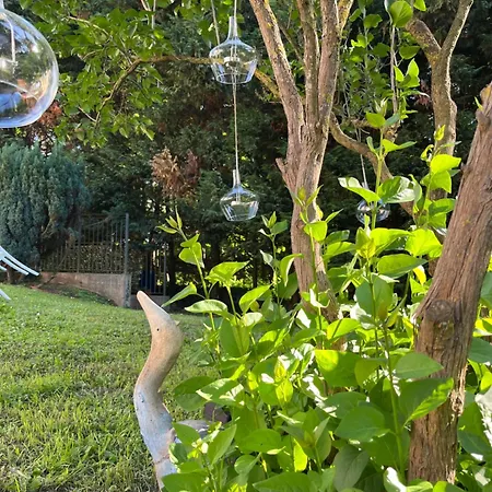 Degli Aceri Nocleg ze śniadaniem Carcare