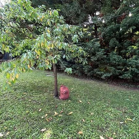 Nocleg ze śniadaniem Degli Aceri Carcare