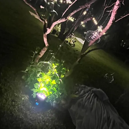 Degli Aceri Bed & Breakfast 3*