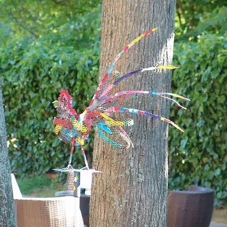 Bed & Breakfast Degli Aceri