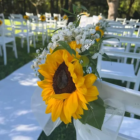 Nocleg ze śniadaniem Degli Aceri