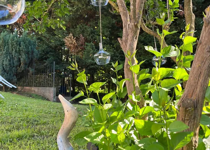 Degli Aceri Bed & Breakfast Carcare