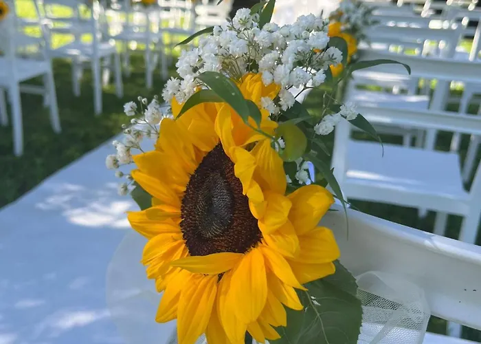 Bed and Breakfast Degli Aceri